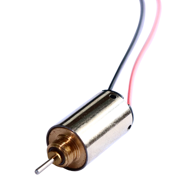 10 mm ädelmetallborste DC-motor